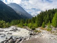 Malerisches vordere Morteratschtal mit Wald und dem Wildbach Ova da Morteratsch